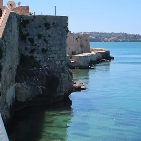 Cactus 31 * Syracuse