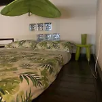 Cactus 31 *